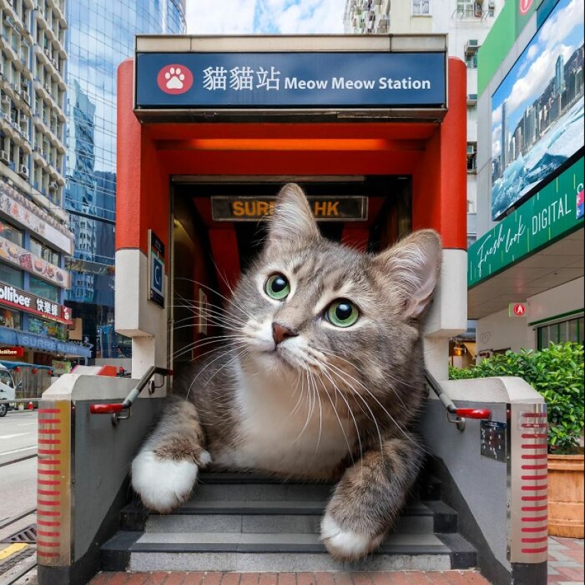 Este artista reinventó Hong Kong con residentes animales gigantes en sus representaciones surrealistas