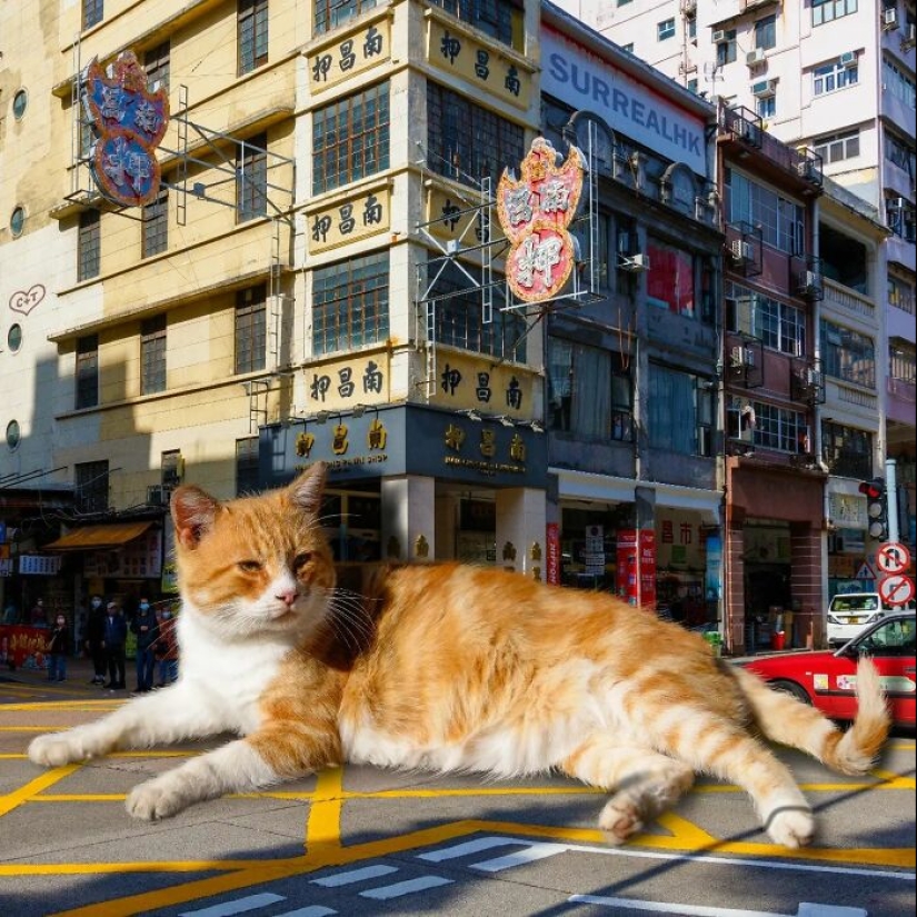 Este artista reinventó Hong Kong con residentes animales gigantes en sus representaciones surrealistas