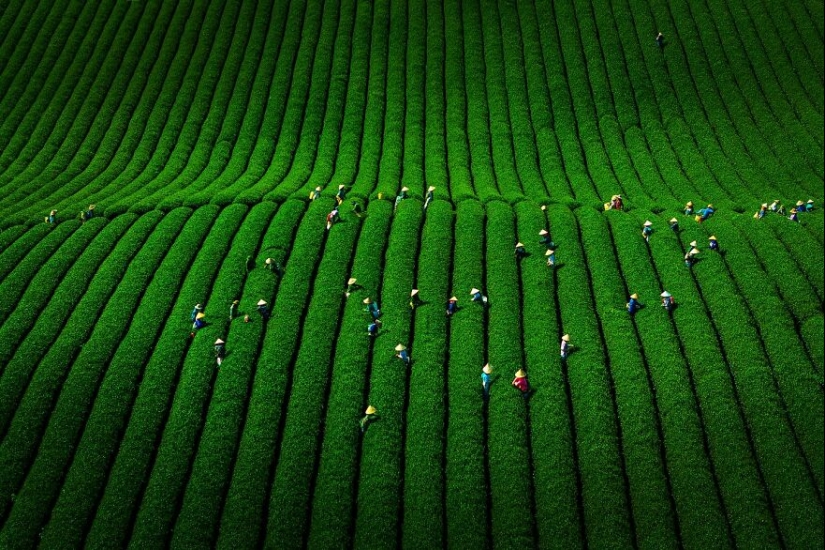 Este fotógrafo toma impresionantes fotos de drones de Vietnam