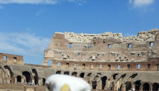 Este grupo de Facebook está dedicado a intentos hilarantemente malos de fotografiar pájaros Este grupo de Facebook está dedicado a intentos hilarantemente malos de fotografiar pájaros