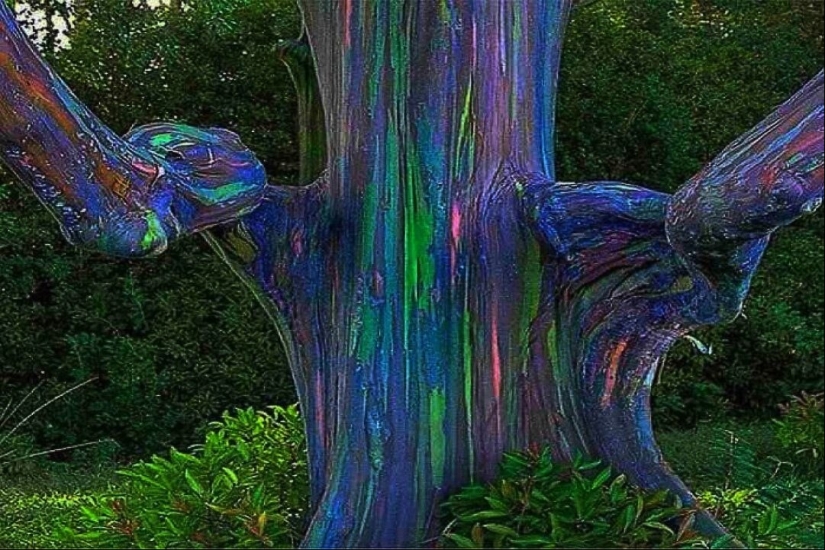 Este no es un cuadro de "Avatar", un árbol crece en la Tierra