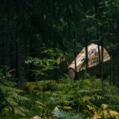 Estonian students built giant horns to listen to the forest