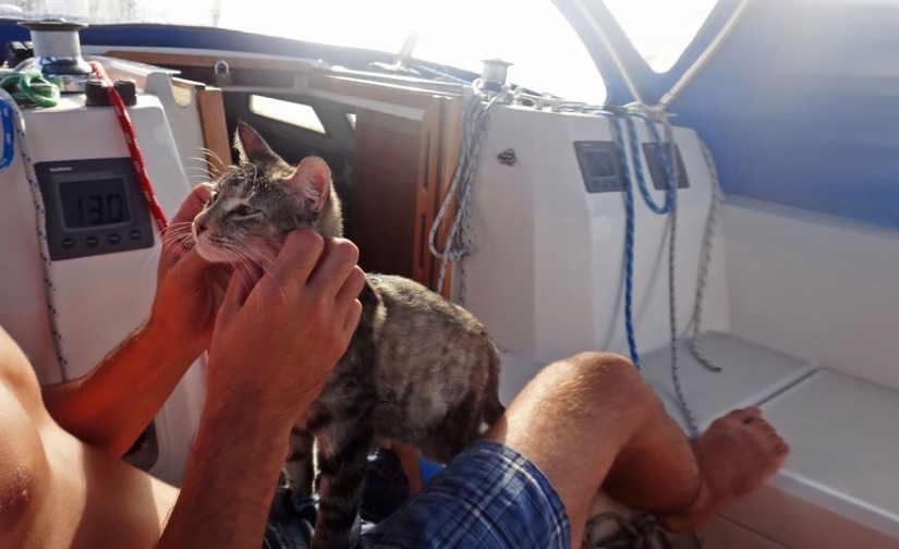 Estos dos dejaron todo y se fueron de viaje, con su gato