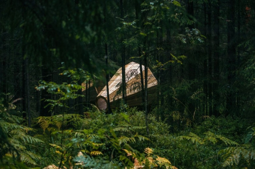 Estudiantes estonios construyeron cuernos gigantes para escuchar el bosque