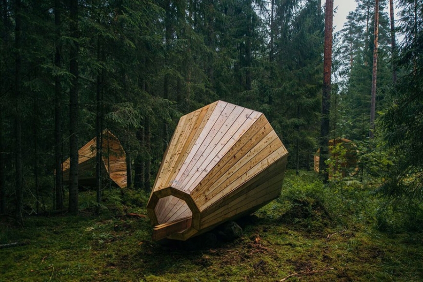 Estudiantes estonios construyeron cuernos gigantes para escuchar el bosque