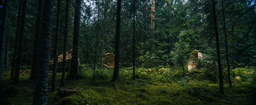 Estudiantes estonios construyeron cuernos gigantes para escuchar el bosque