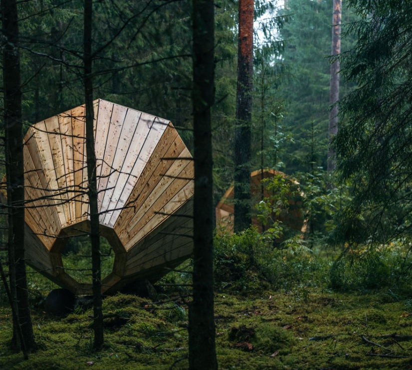 Estudiantes estonios construyeron cuernos gigantes para escuchar el bosque