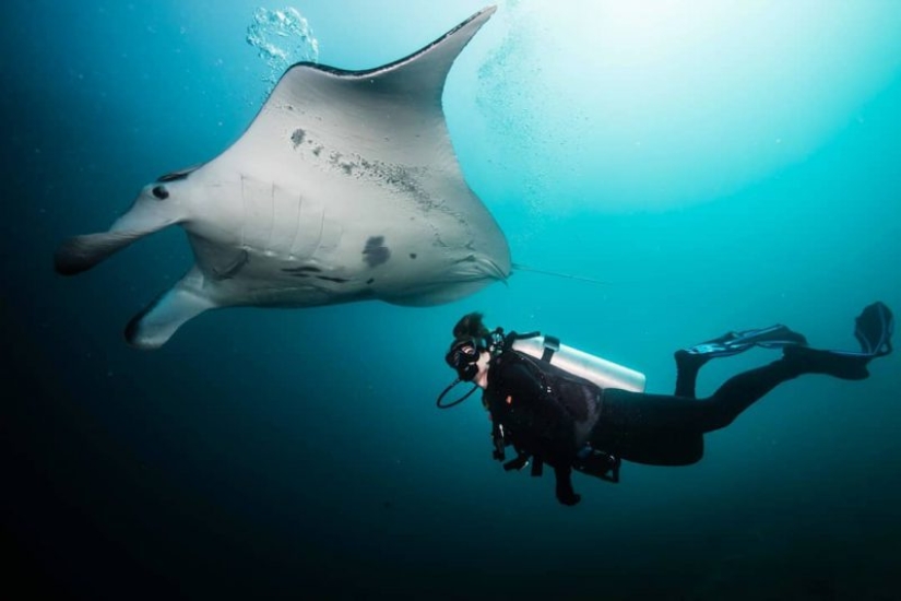 Everyone calls her the pictures with photoshop, but they are real: amazing footage of a diver and the underwater world