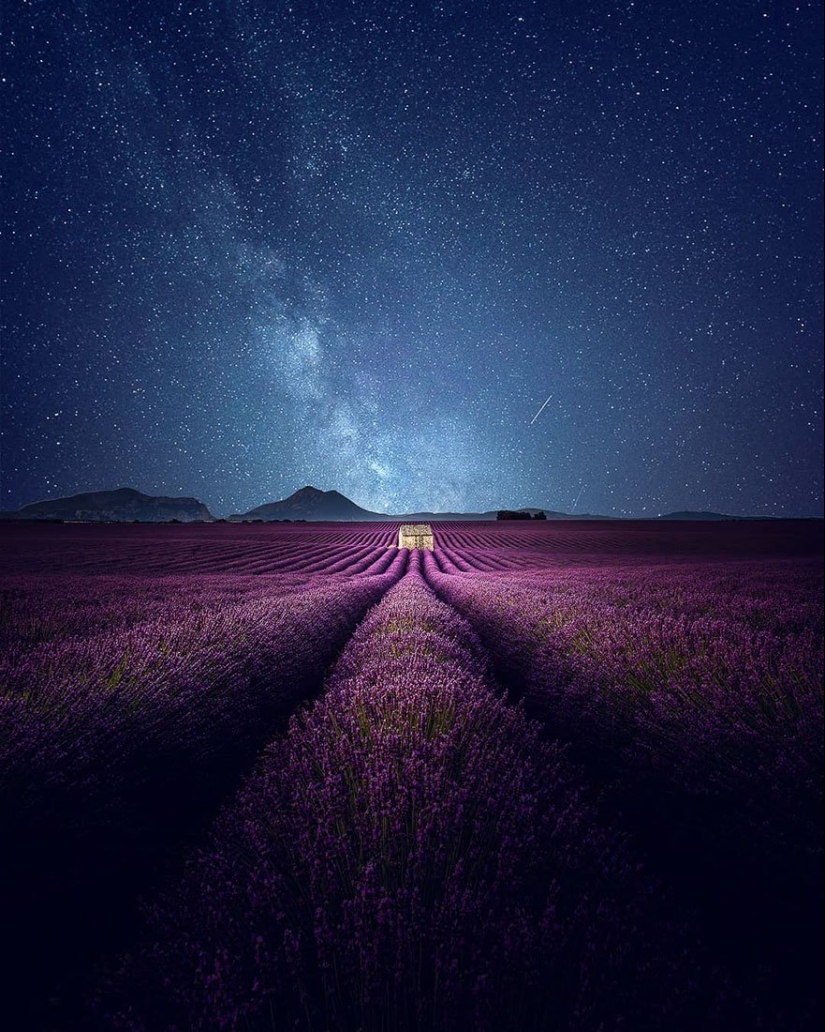 Evoking calm and sleep: photos of lavender fields in the South of France