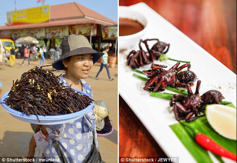 Exotic delicacies that are difficult to eat without closing your eyes