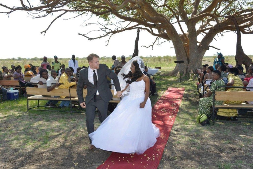 Extraordinary safari wedding in Zimbabwe