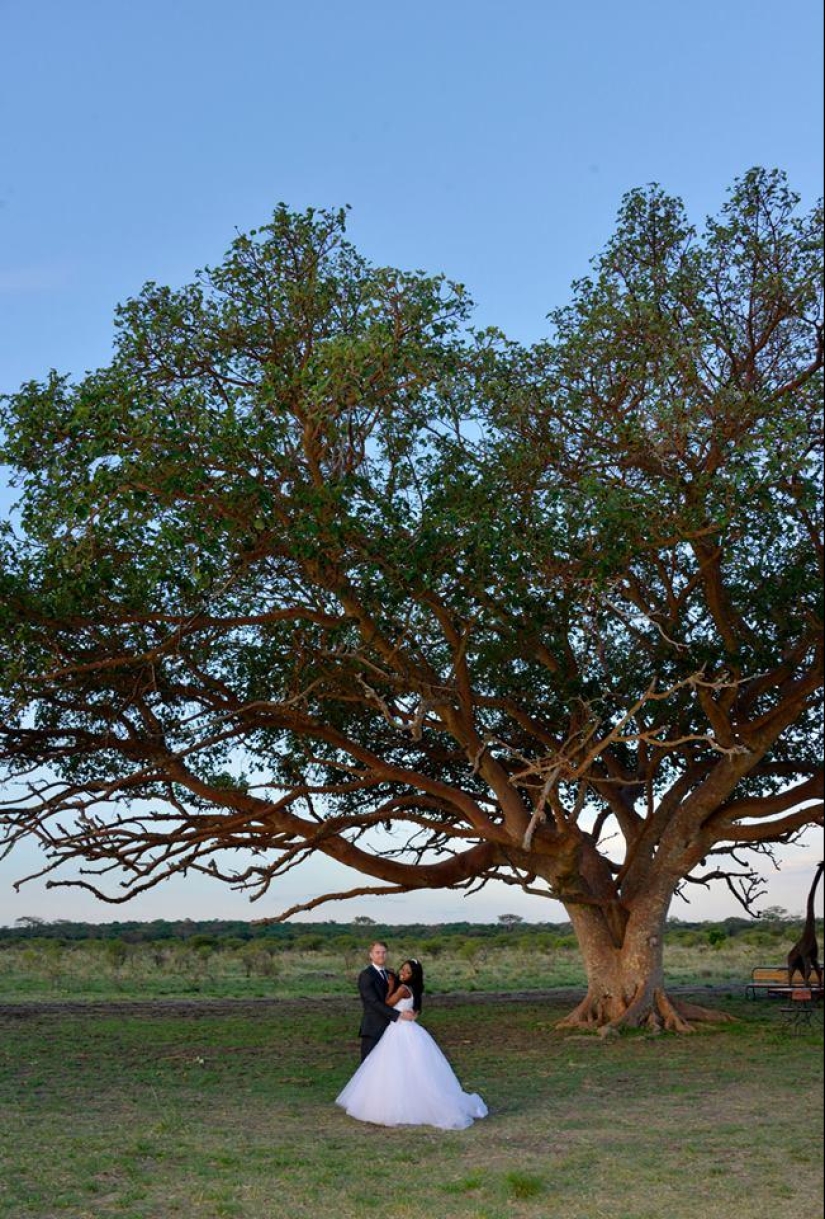 Extraordinary safari wedding in Zimbabwe