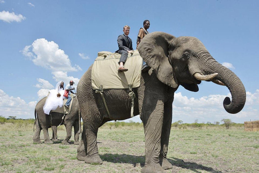 Extraordinary safari wedding in Zimbabwe