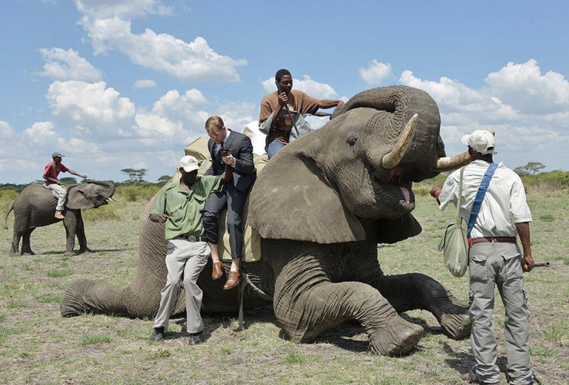 Extraordinary safari wedding in Zimbabwe