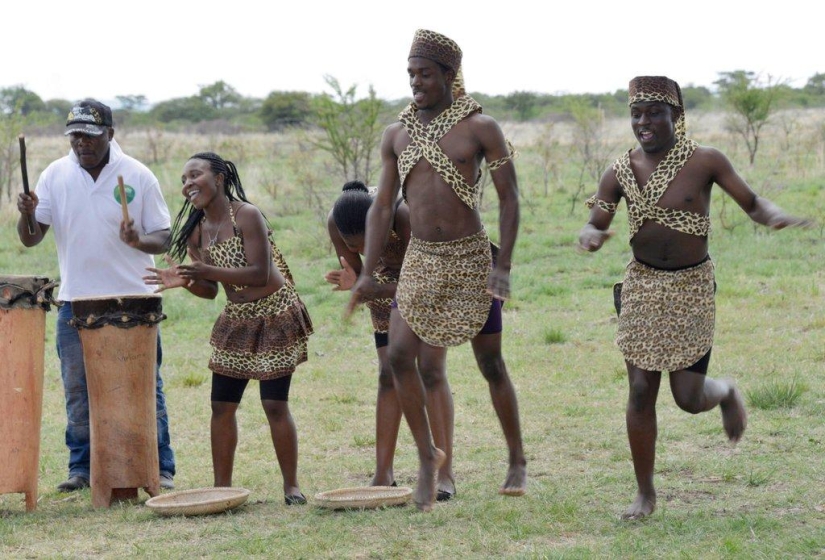 Extraordinary safari wedding in Zimbabwe
