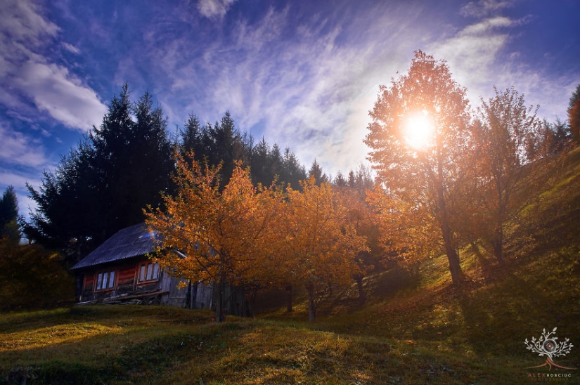 Fabulous autumn photos from Romania taken on camera for just $250