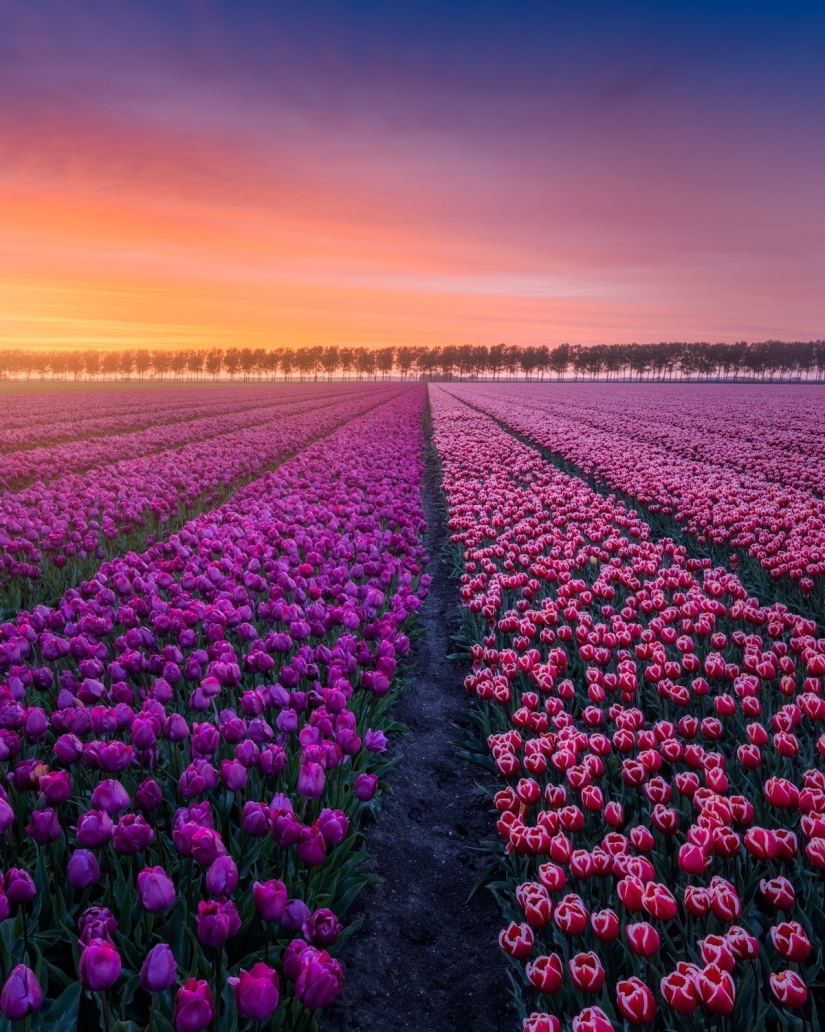 Fabulous photos of beautiful Holland that take your breath away