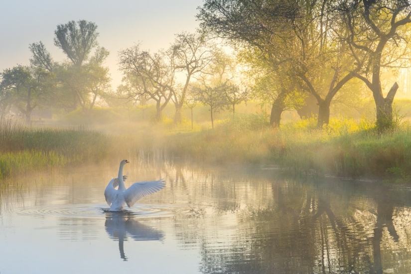 Fabulous photos of beautiful Holland that take your breath away