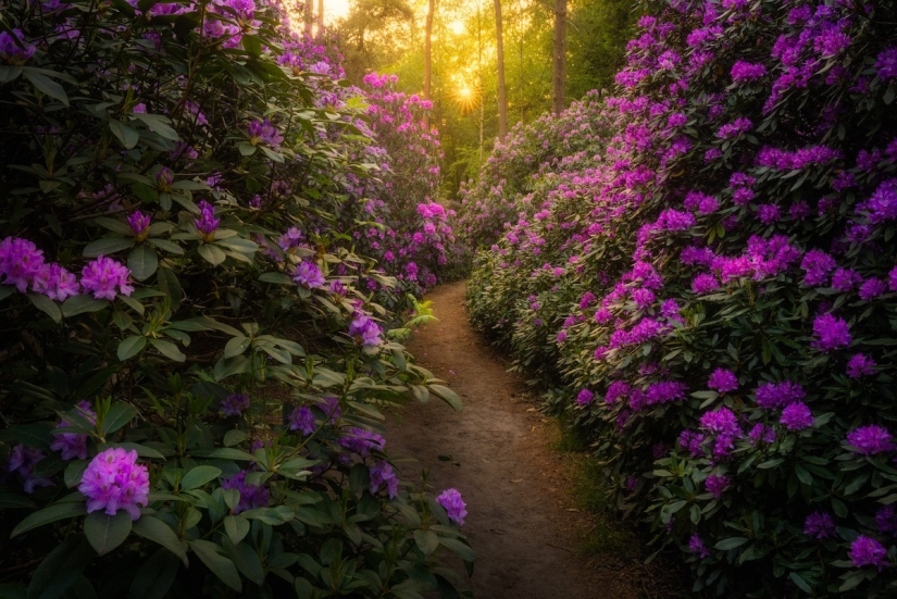 Fabulous photos of beautiful Holland that take your breath away