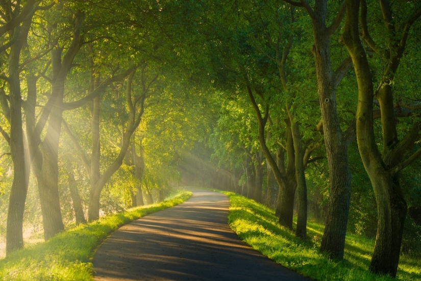 Fabulous photos of beautiful Holland that take your breath away