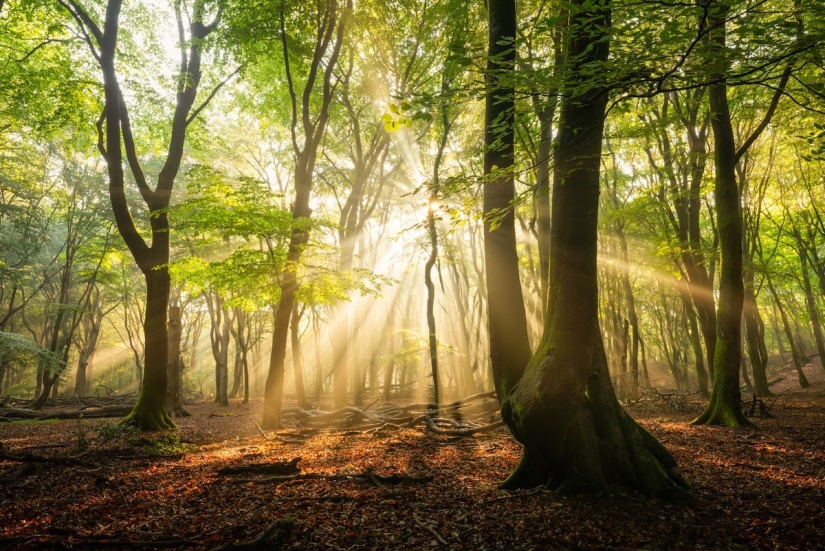 Fabulous photos of beautiful Holland that take your breath away