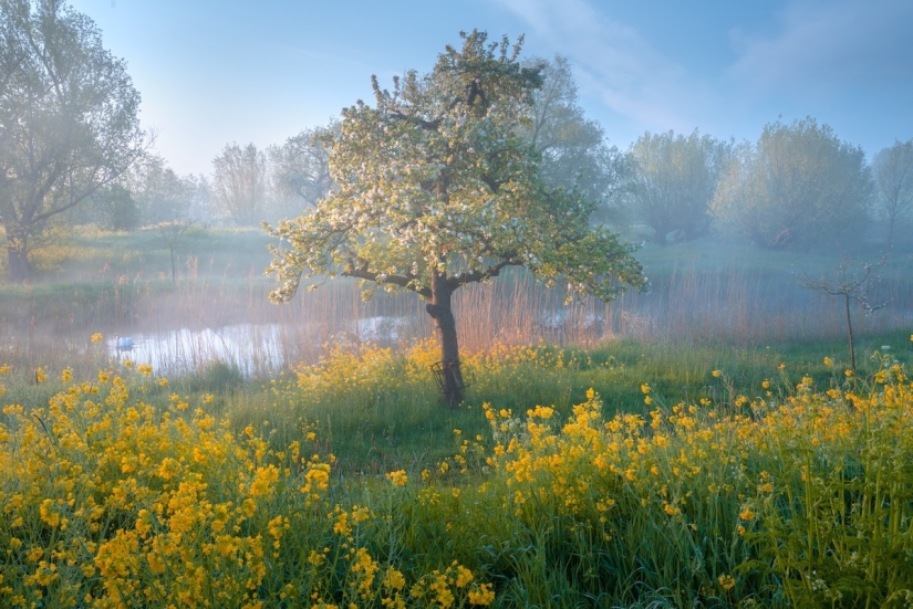 Fabulous photos of beautiful Holland that take your breath away