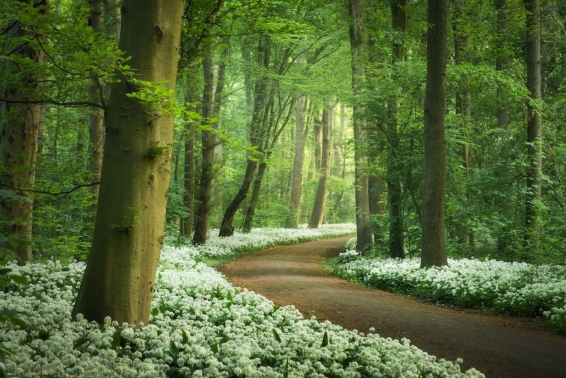 Fabulous photos of beautiful Holland that take your breath away