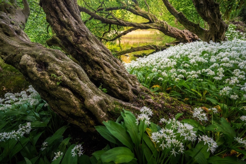 Fabulous photos of beautiful Holland that take your breath away