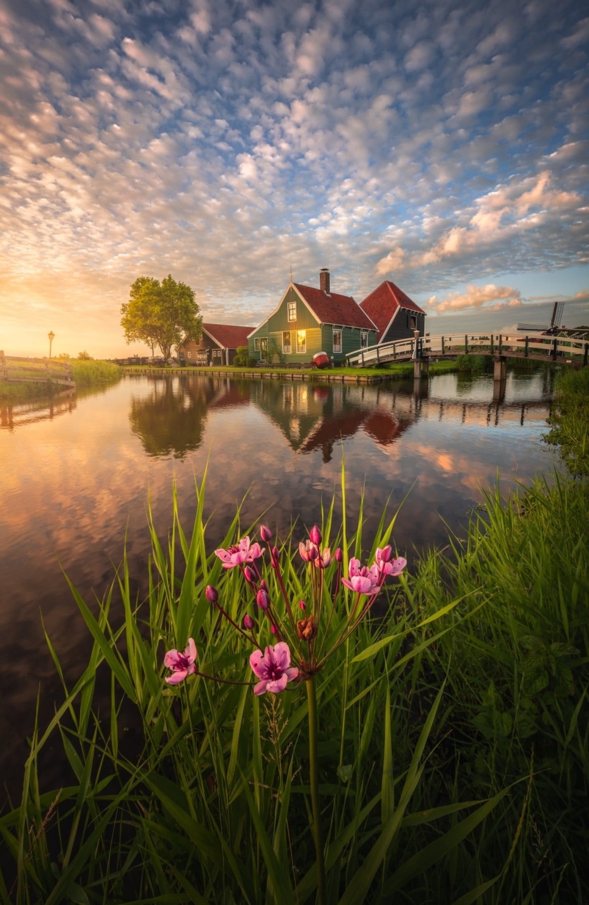 Fabulous photos of beautiful Holland that take your breath away