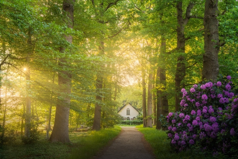 Fabulous photos of beautiful Holland that take your breath away