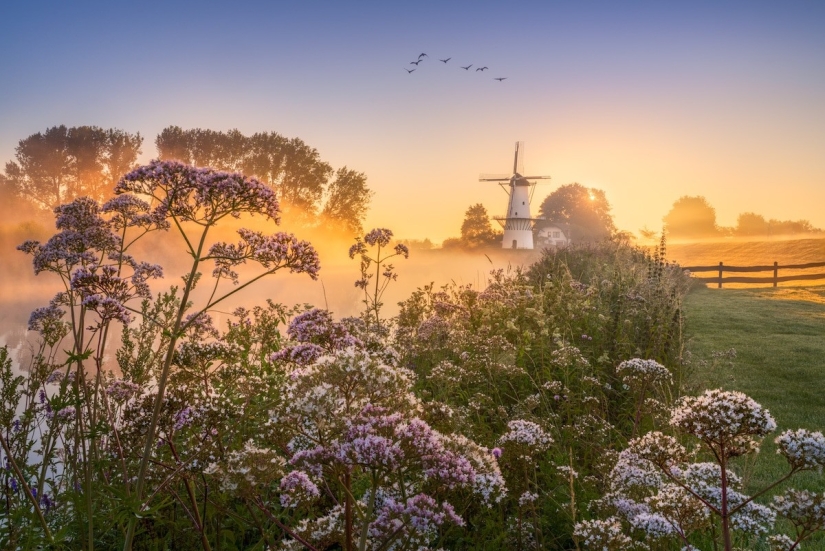 Fabulous photos of beautiful Holland that take your breath away