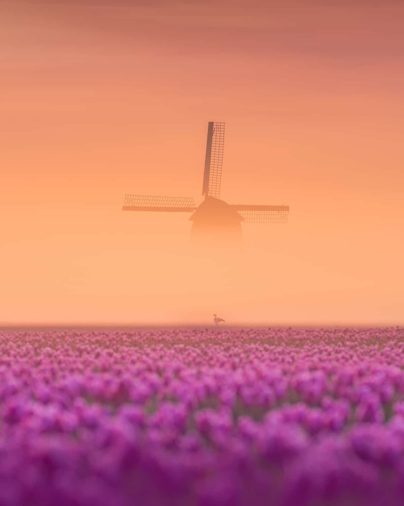 Fabulous photos of beautiful Holland that take your breath away