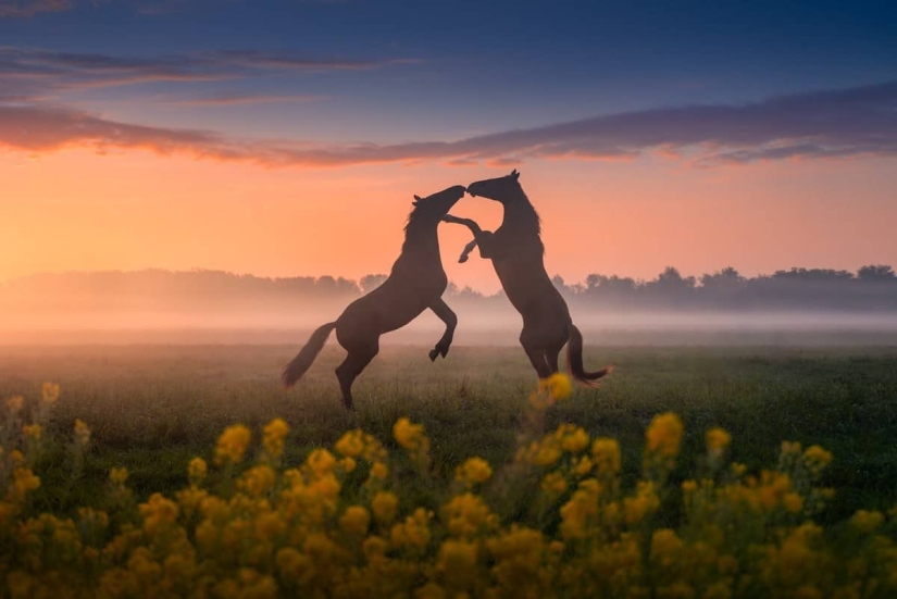 Fabulous photos of beautiful Holland that take your breath away