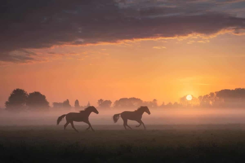 Fabulous photos of beautiful Holland that take your breath away