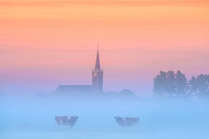 Fabulous photos of beautiful Holland that take your breath away