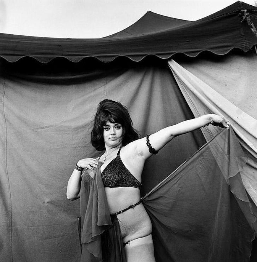 Fairground stripper