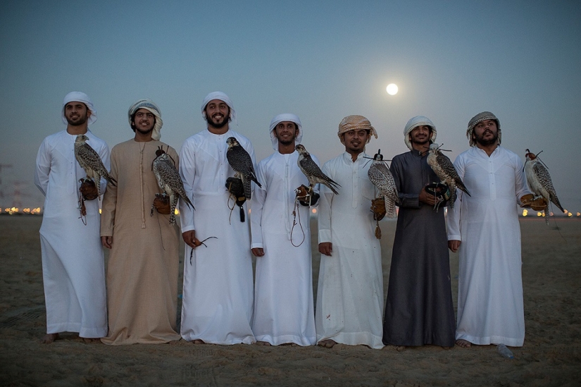 Falconry in the United Arab Emirates