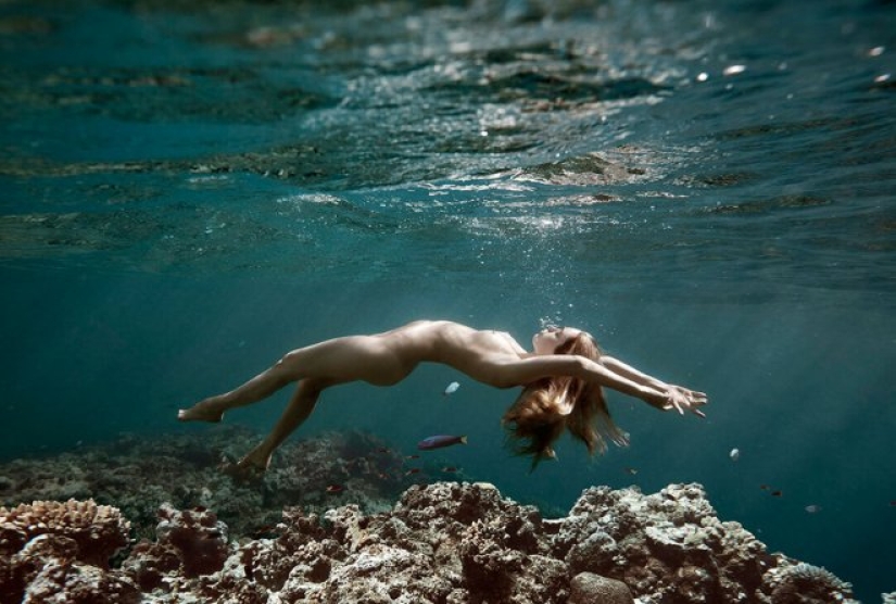 Fantasies at the Great Barrier Reef by the master of beach photography Paul Giggle