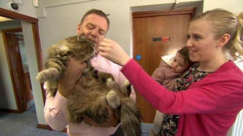 Fat and happy cat, missing more than a year ago, was found at the pet food factory