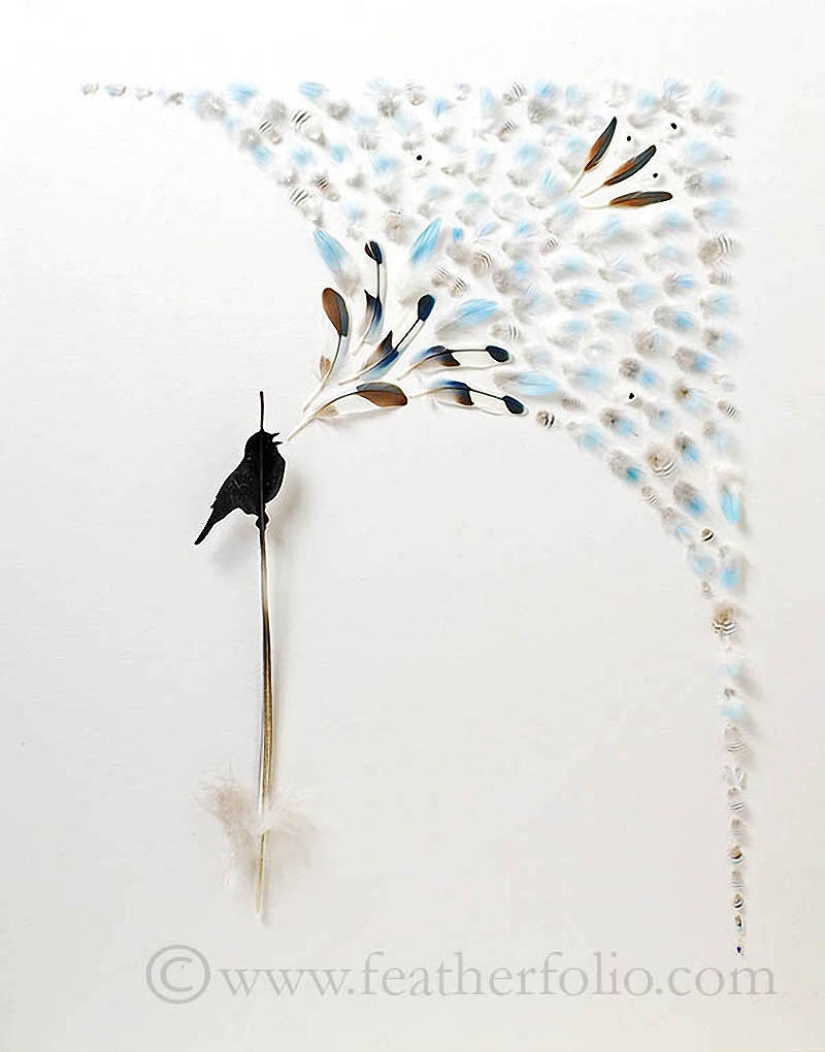 Feathers as art