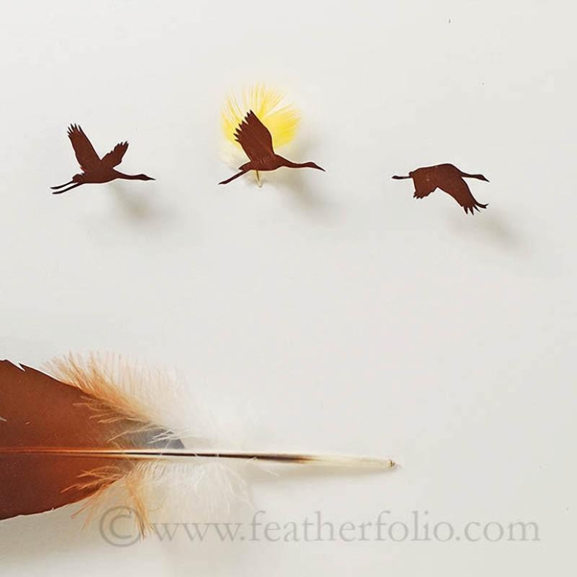 Feathers as art