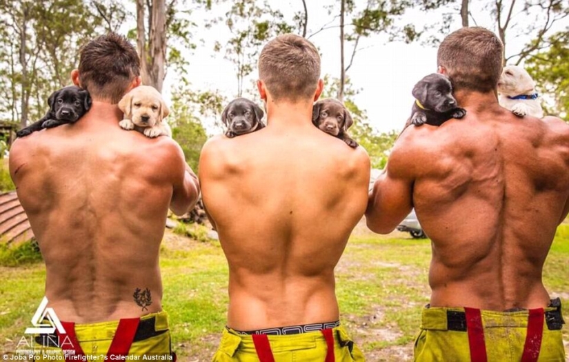 Fiery backstage: photos from the shooting of the charity calendar with naked firefighters