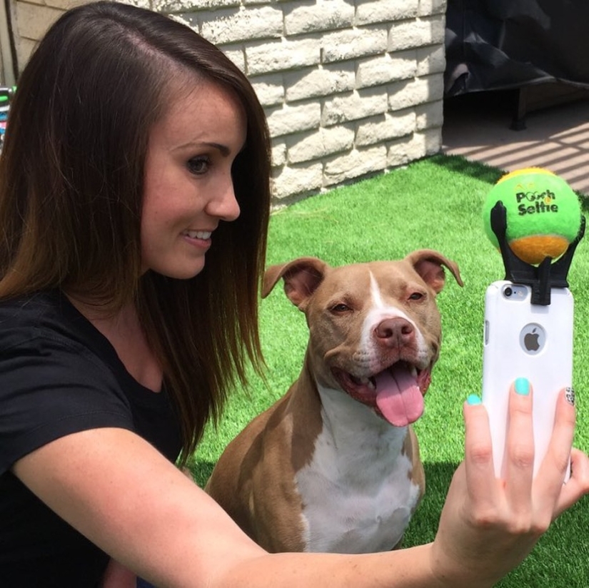 Finally, a device for perfect selfies with dogs has been invented!