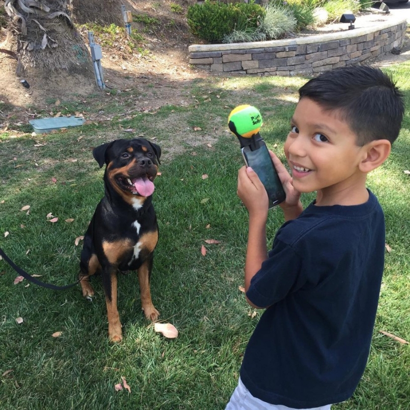 Finally, a device for perfect selfies with dogs has been invented!