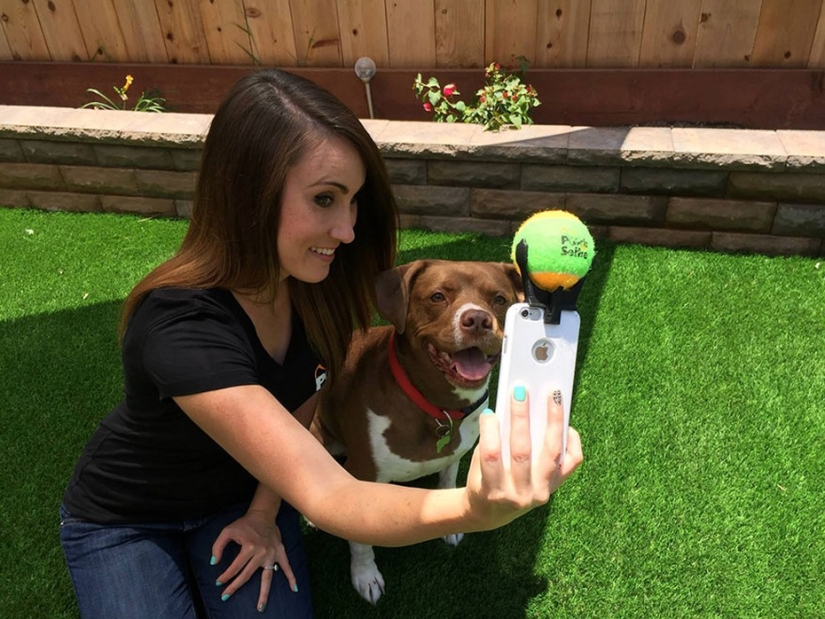 Finally, a device for perfect selfies with dogs has been invented!