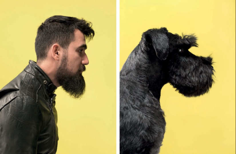 Find 10 differences: dogs, just like their owners