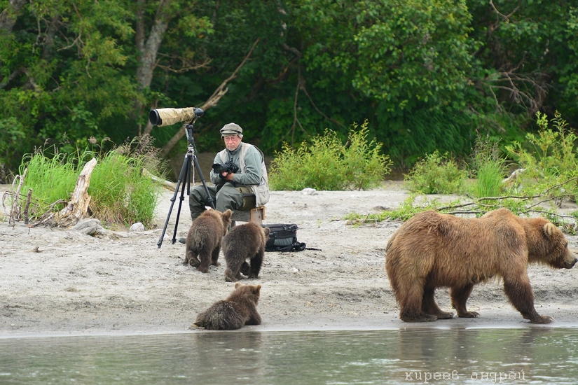 Five minutes in the life of an animal photographer