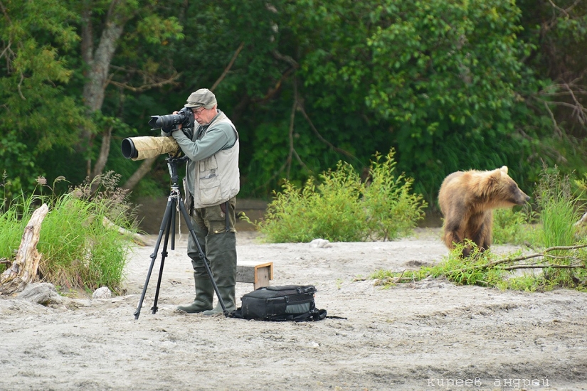 Five minutes in the life of an animal photographer