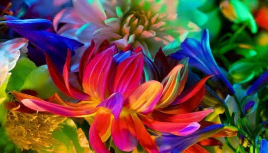 flor electrica flor electrica