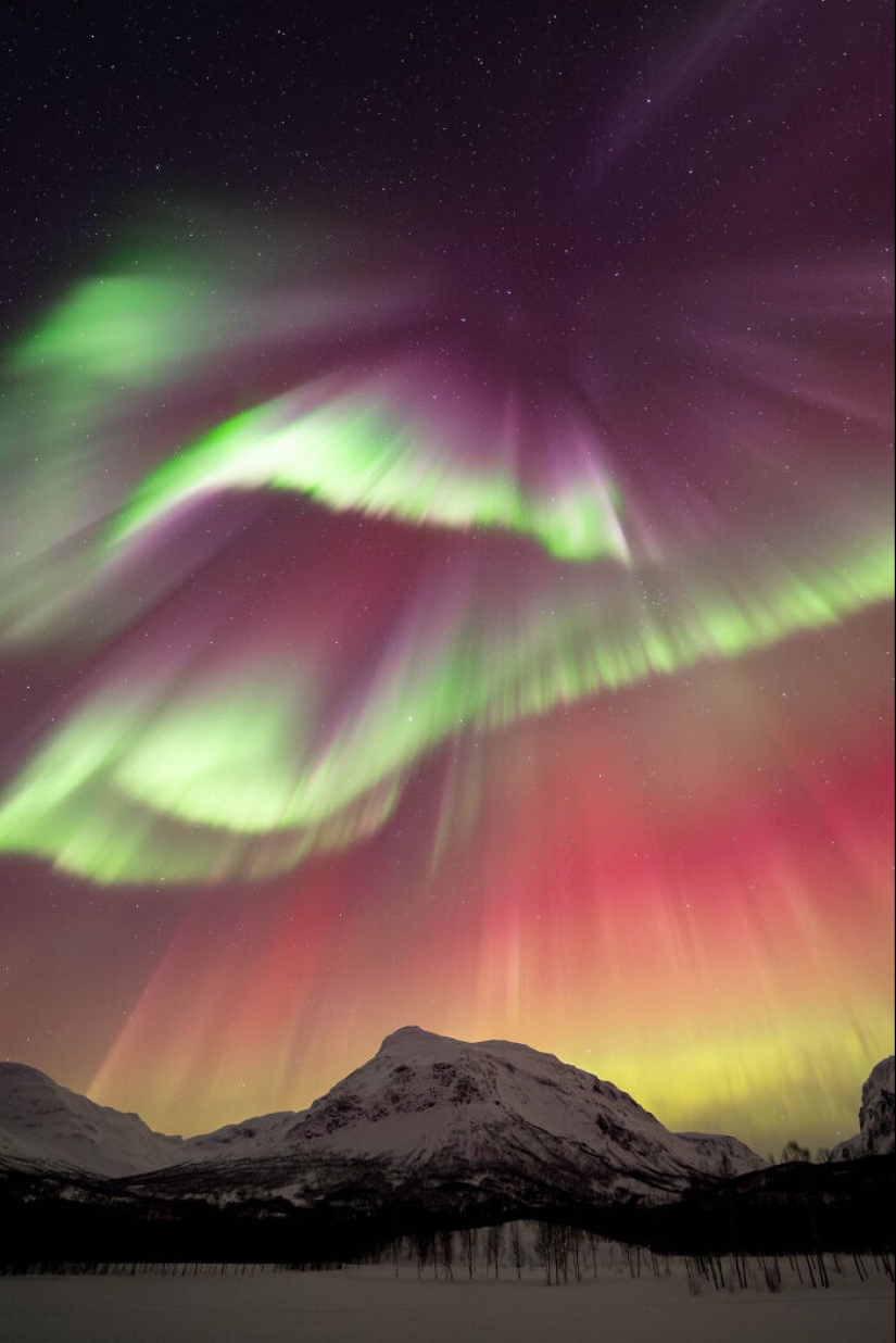 Fotógrafo de auroras boreales del año 2023: las 10 mejores fotografías de la aurora boreal